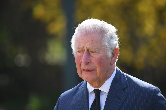 Charles and Camilla were affected by many statements of support from people