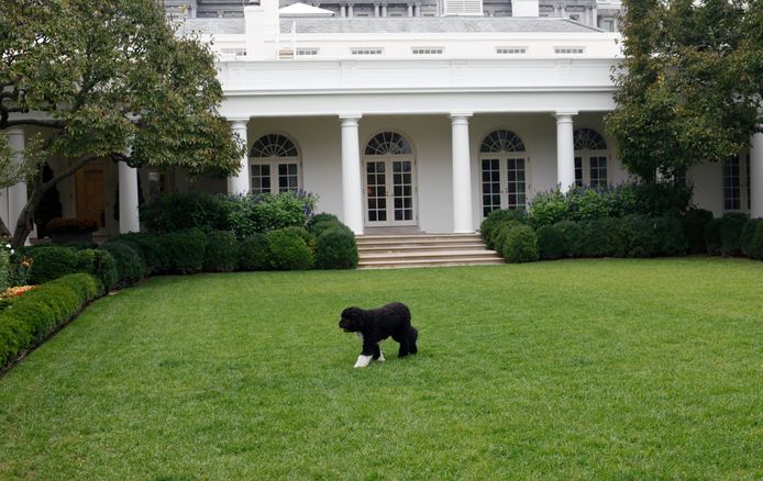 Poe in 2011 on the White House lawn.