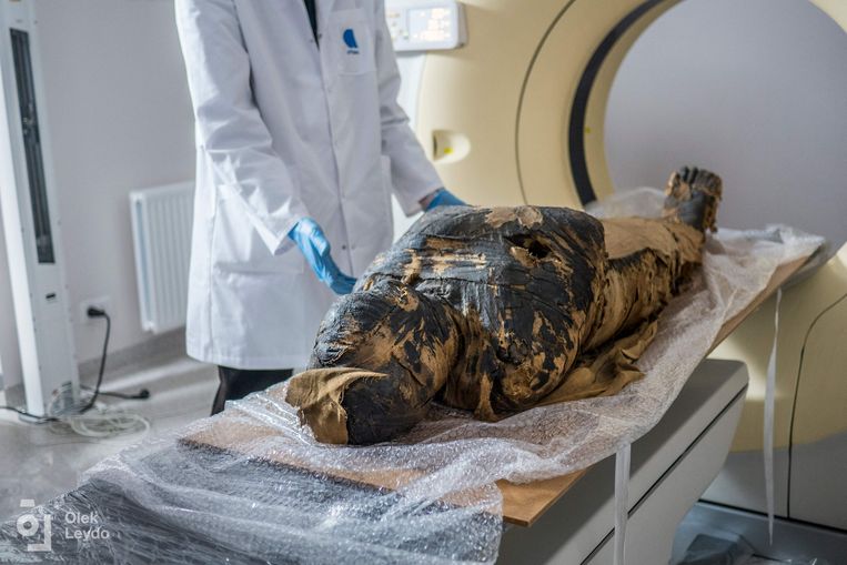 Polish scientists discover a pregnant mummy: "the only one in the world"