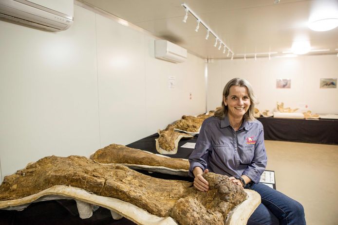 Robyn Mackenzie, of the Emoranga Museum of Natural History, displays bones from Australotitan coprensis.