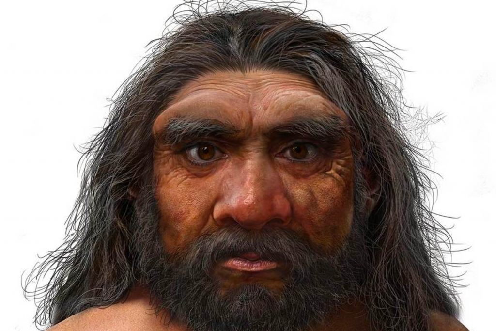 Discover new hominins that seem to be more closely related to us than Neanderthals
