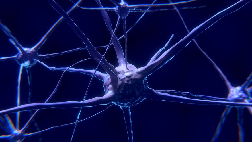 A study revealed that the virus can infect nerve cells
