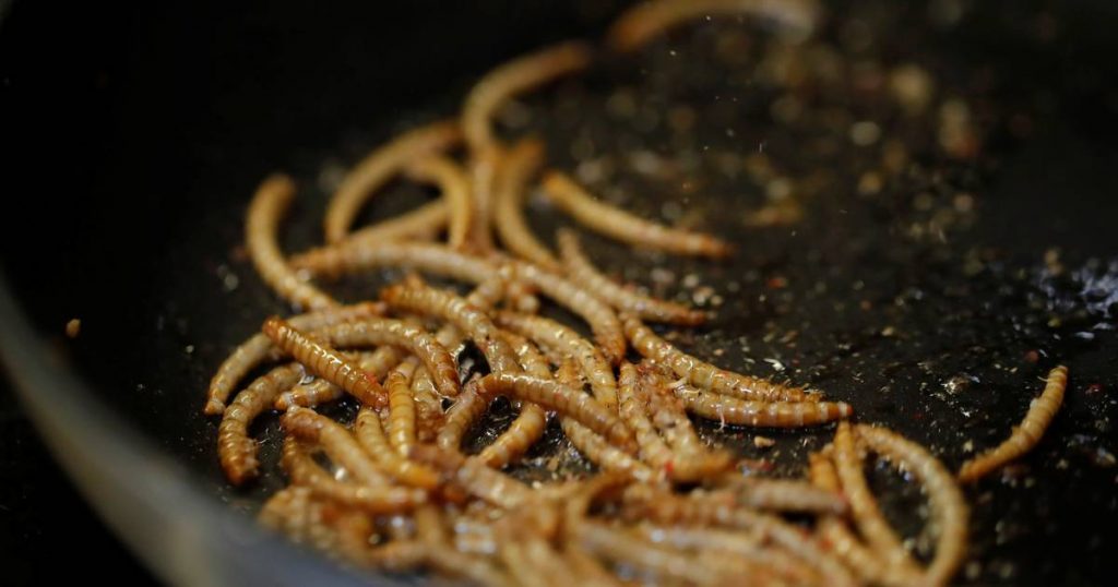 Research has proven that mealworms are a good alternative to dairy products  Science