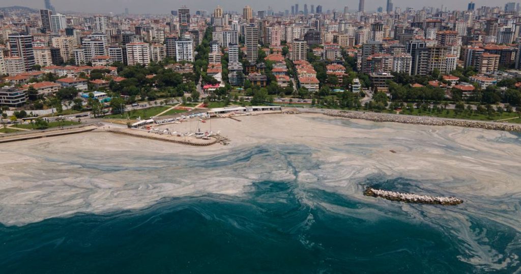 in the picture.  The Turkish Sea of ​​Marmara still suffers from sea algae |  science and planet