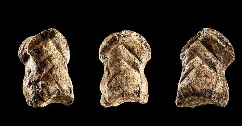 Neanderthal scratches on deer bones: carcass droppings or symbolic thinking