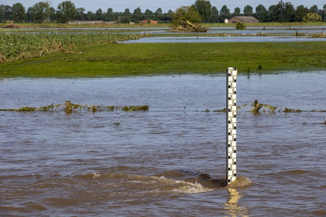 “We will have to invest in climate adaptation: giving water space again” - Belgium