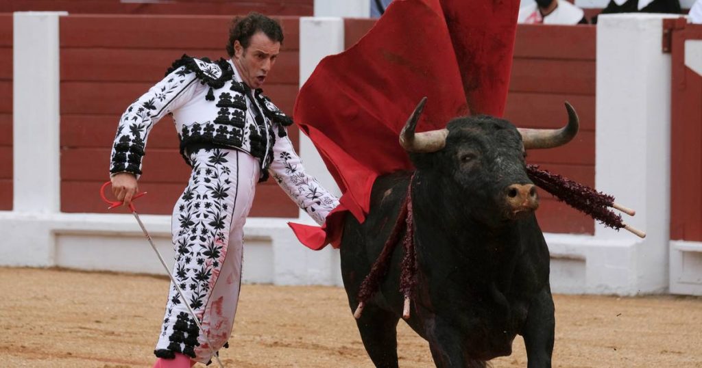 Bullfighting festival in Spain canceled after bulls were called 'feminista' and 'Nigeriano' |  abroad