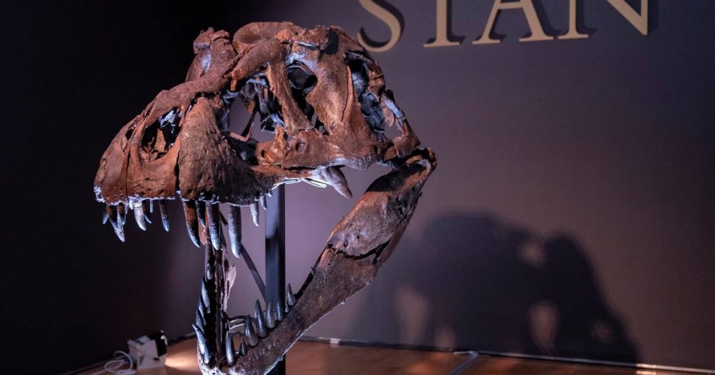 More Terrifying Than Thought: T. rex had "detectors" in its jaws that made it easy to find prey |  the animals