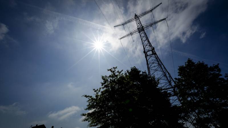 Concerns about an entire power grid: Grid operator and employers want action