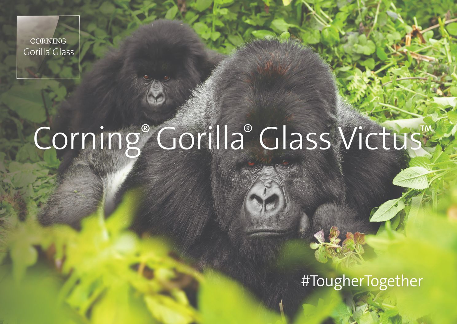 Gorilla Glass Explained: Friction Between Scratching and Cracking