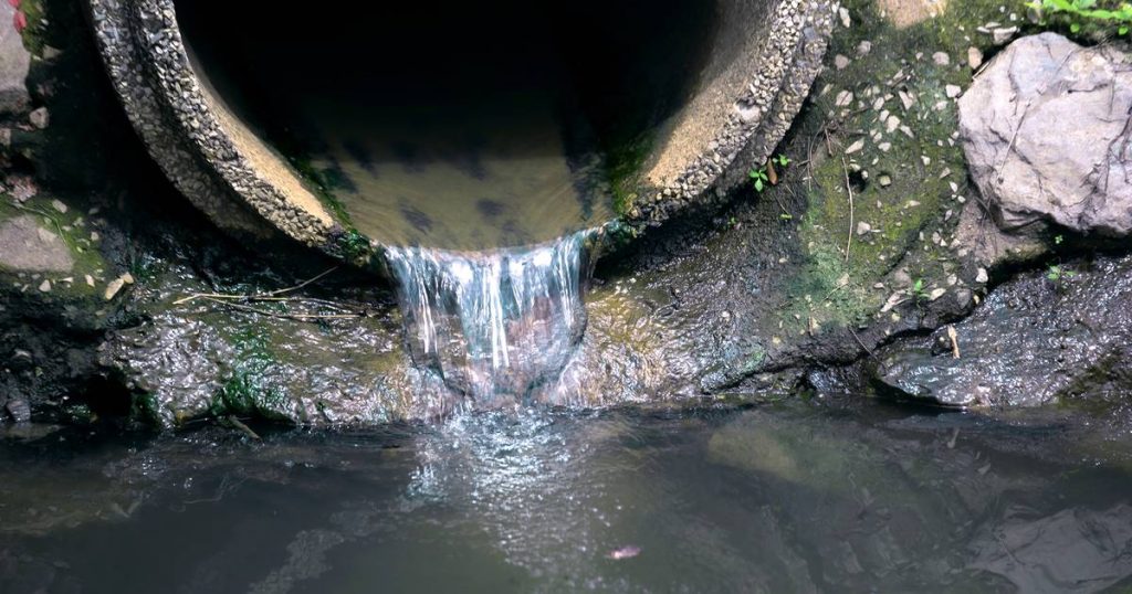 Britons respond sharply to legal permission to discharge sewage |  Abroad