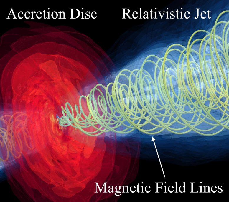 Magnetic field lines of a relativistic jet black hole M87