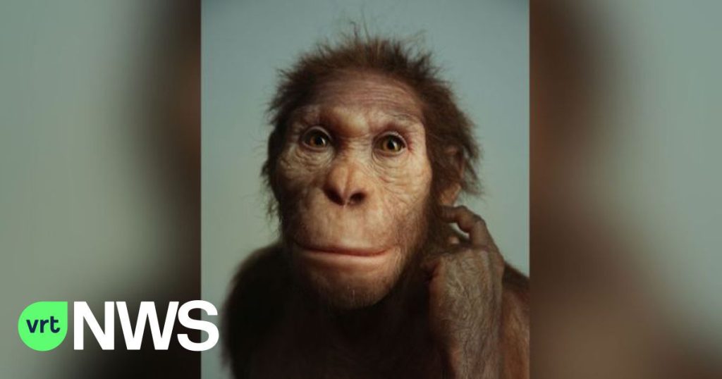 Archaic human relative Australopithecus sediba 'walked like a man, but climbed like a monkey'