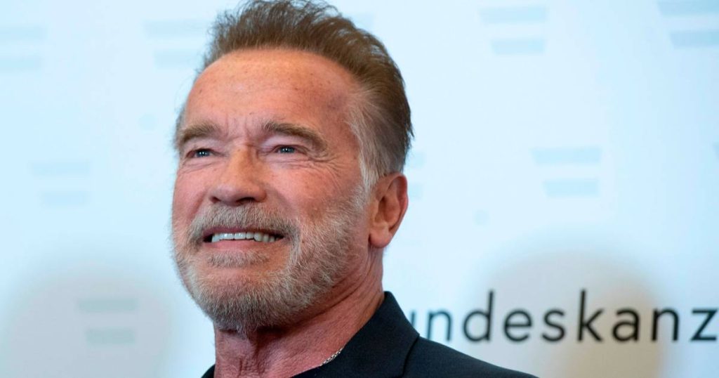 Arnold Schwarzenegger Donates $250,000 to 'Tiny Homes' for Veterans |  showbiz
