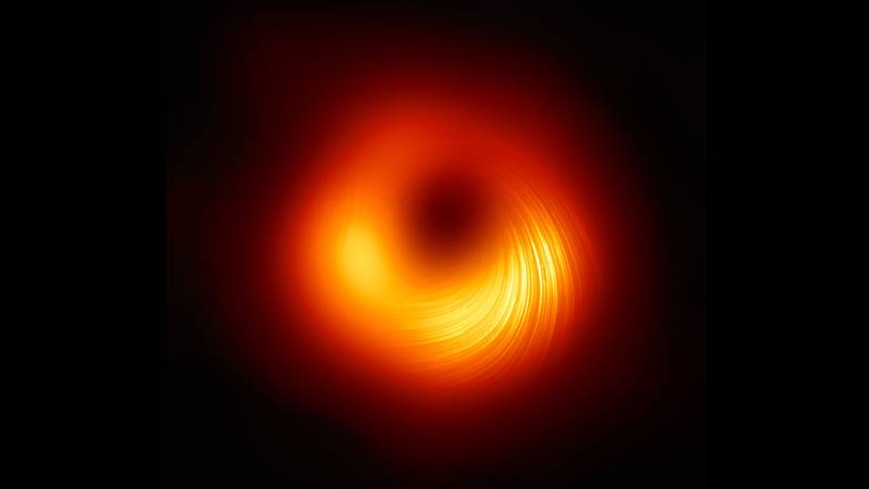 Hairy black holes: Physicists claim to solve a 50-year-old paradox