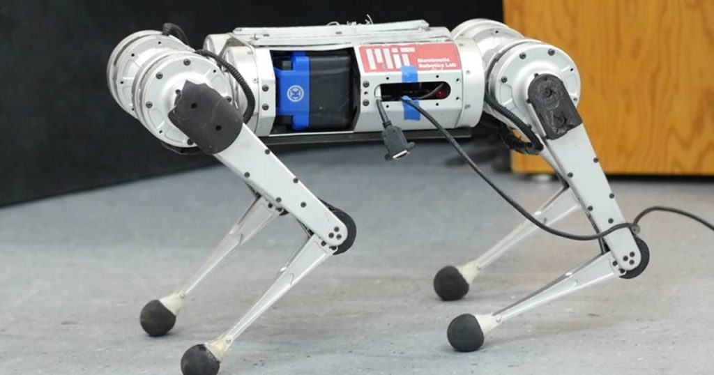 Robot dog teaches itself to walk faster and breaks its speed record |  Technique