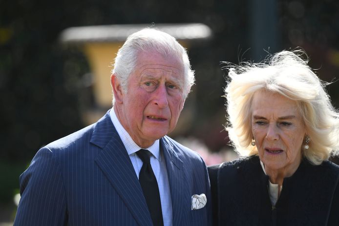 Charles and Camilla were affected by many statements of support from people