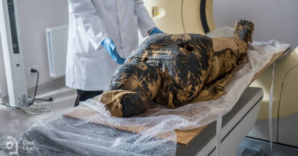 Polish scientists discover first pregnant mummy |  Science