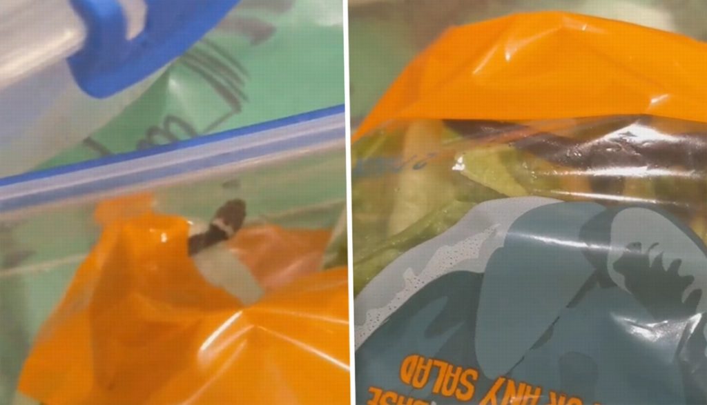 The couple found a venomous snake in a bag of Aldi lettuce: “I was shocked ...