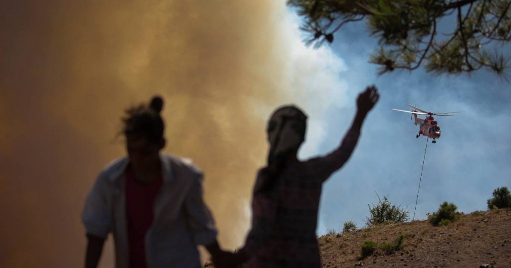 Turkish watchdog agency fines TV stations over 'misleading' reports of forest fires |  abroad