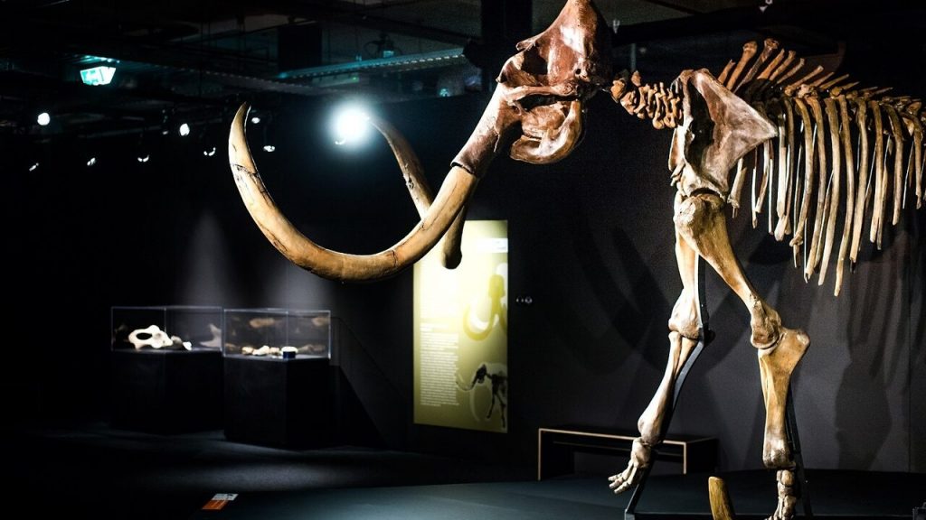 Will mammoths save us from climate change?