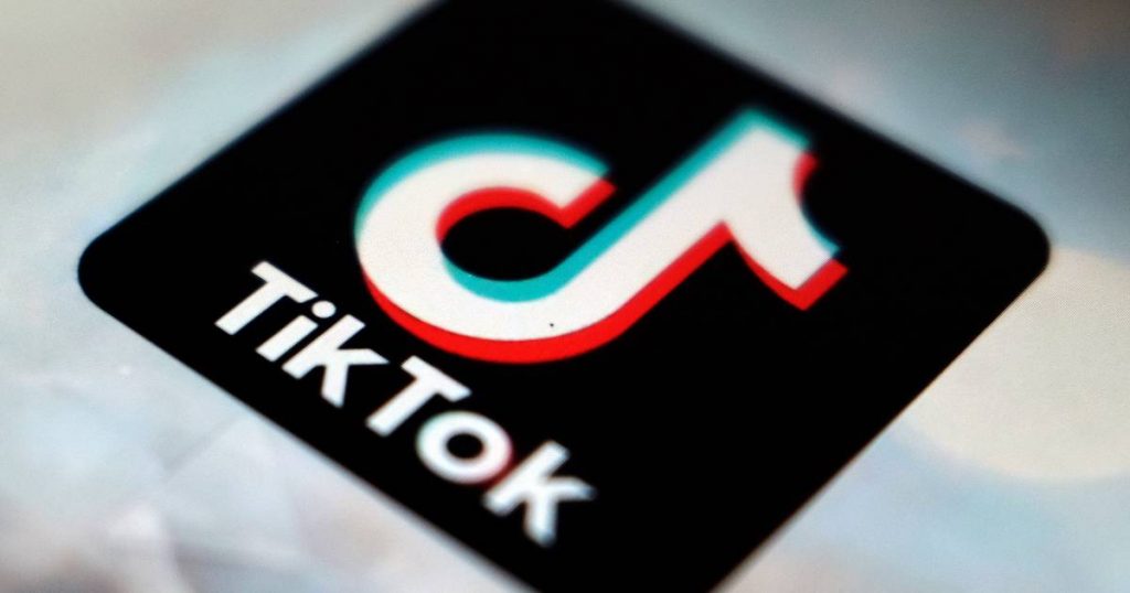 Ministers of State De Bleecker and Michel want to better protect children on TikTok |  interior