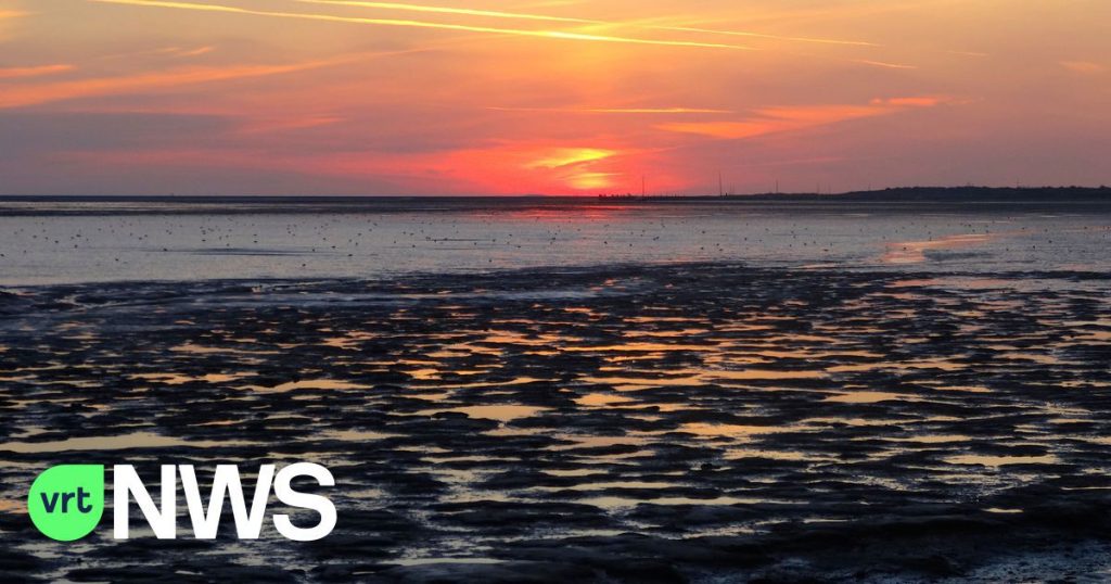 The Dutch part of the Wadden Sea threatens to lose its World Heritage status due to gas extraction