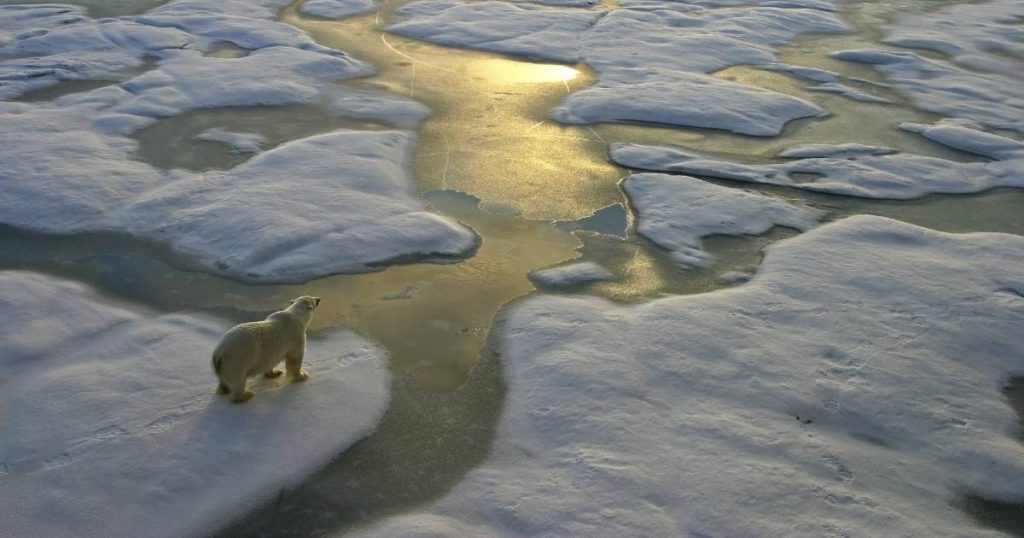 It remains freezing cold outside the Arctic: 25 degrees warmer than normal |  science and planet