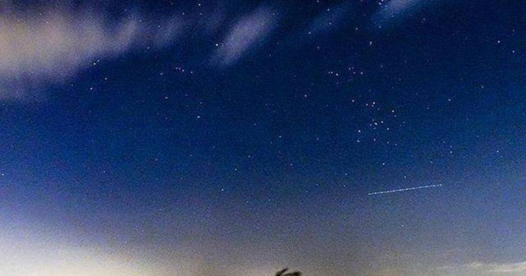 Attention stargazers: At the end of next week, the Orionids meteor shower will pass over our Earth  Sciences