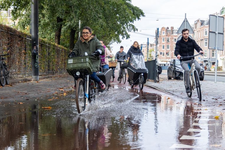 “Amsterdam residents have the right to make public spaces greener”
