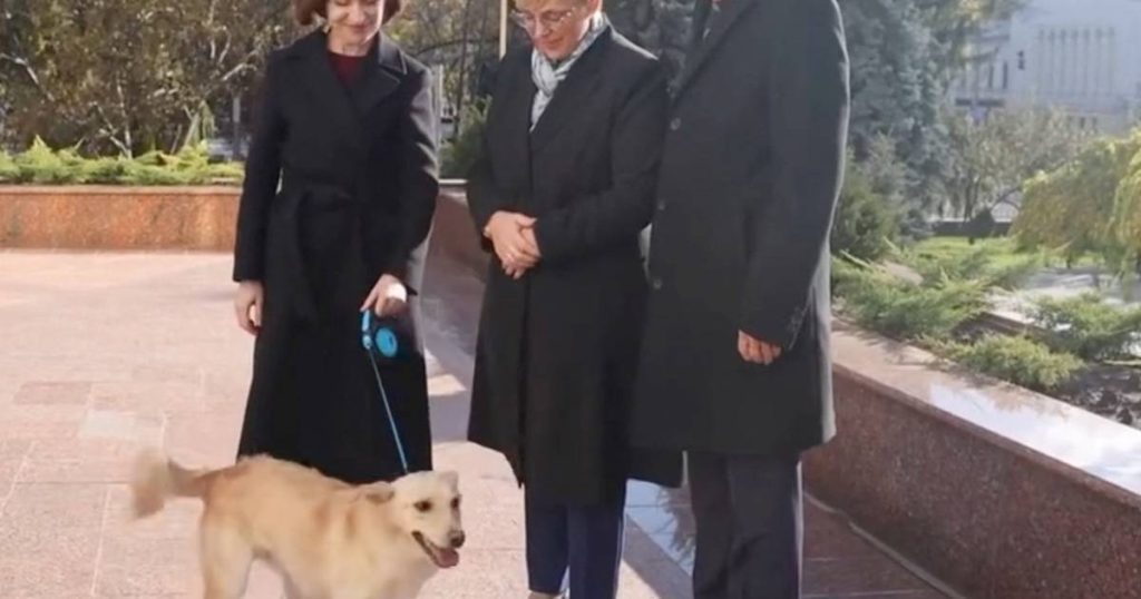 look.  The dog of the President of Moldova bites the President of Austria during a state visit  News