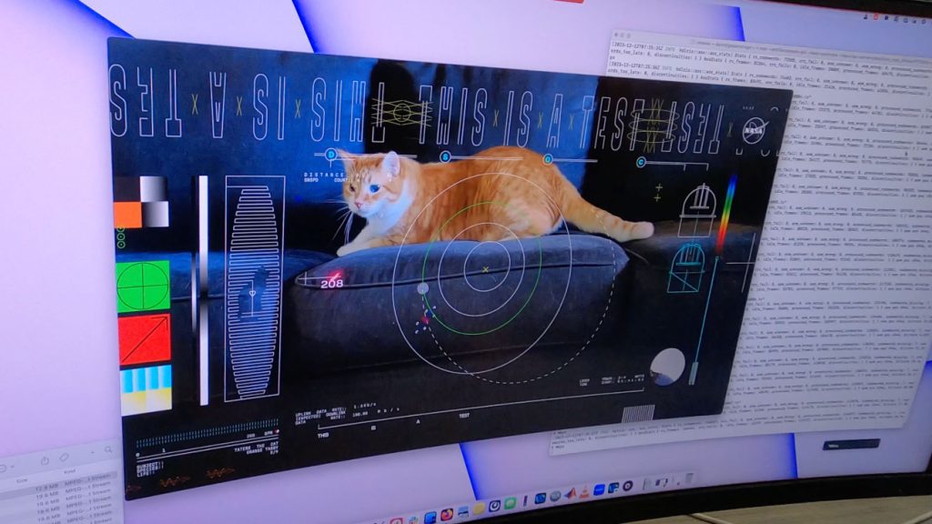 Still uit kattenfilmpje NASA