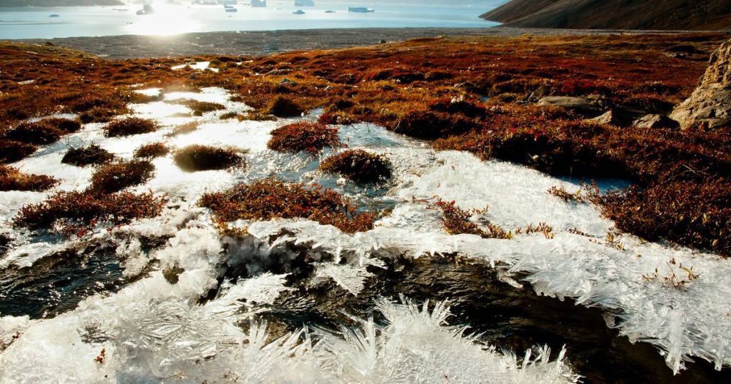 Warmest summer ever in the Arctic |  Science and the planet