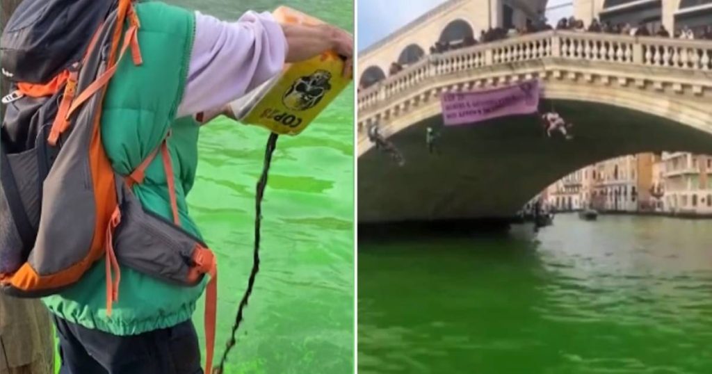 look.  Climate activists turn Venice canal bright green |  Instagram VTM News