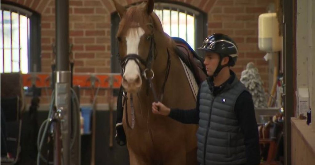 look.  The highest stallion of the Belgian jockey is worth millions: “He jumps unbelievably” |  More sports