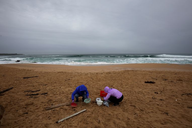Millions of 'siren tears' stream onto the beach, and then the seemingly inevitable happens in Spain