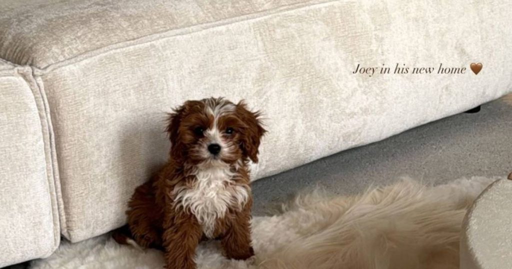 BV 24/7 Frances Lefebure enjoys motherhood and Tom de Kock doesn't care about the biting cold |  Ltd