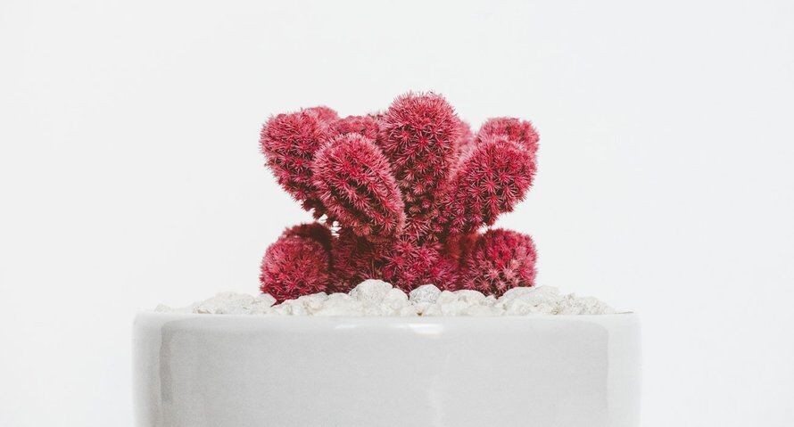 “I had to ask people on the bus to help me get up.”