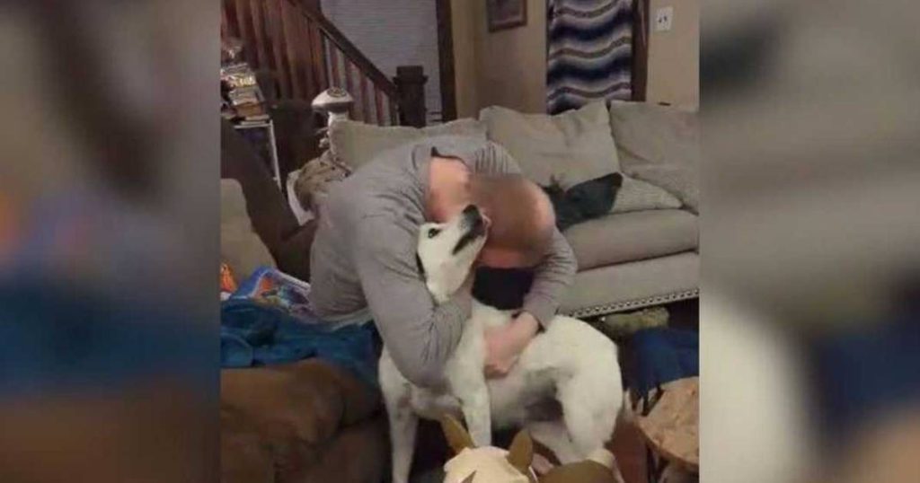 A missing dog was found at a distance of no less than 800 kilometers after 4 years  outside