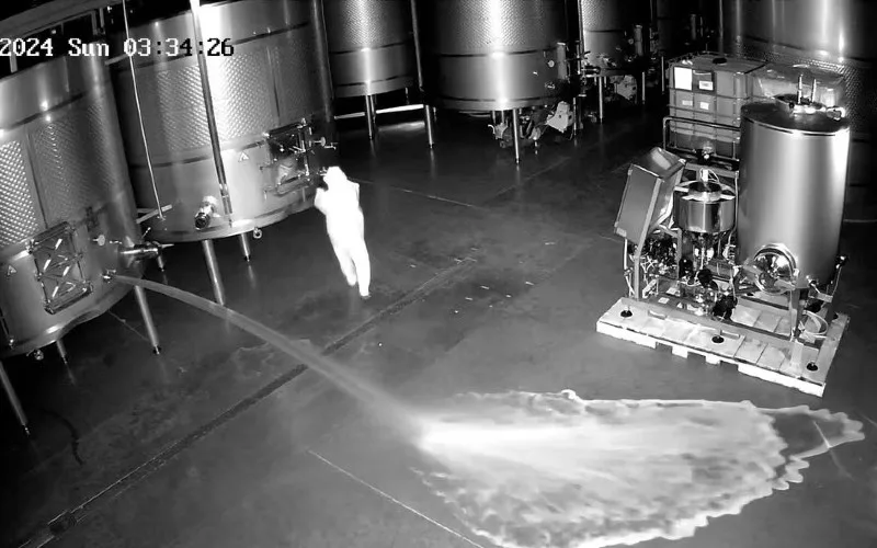 A woman sabotages the wine trade and spills 60,000 liters of wine in Valladolid