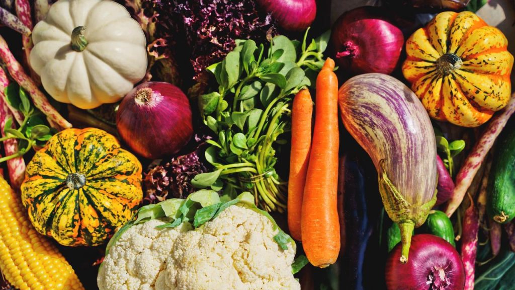 Can you completely replace meat with vegetables?  |  Based on ngage