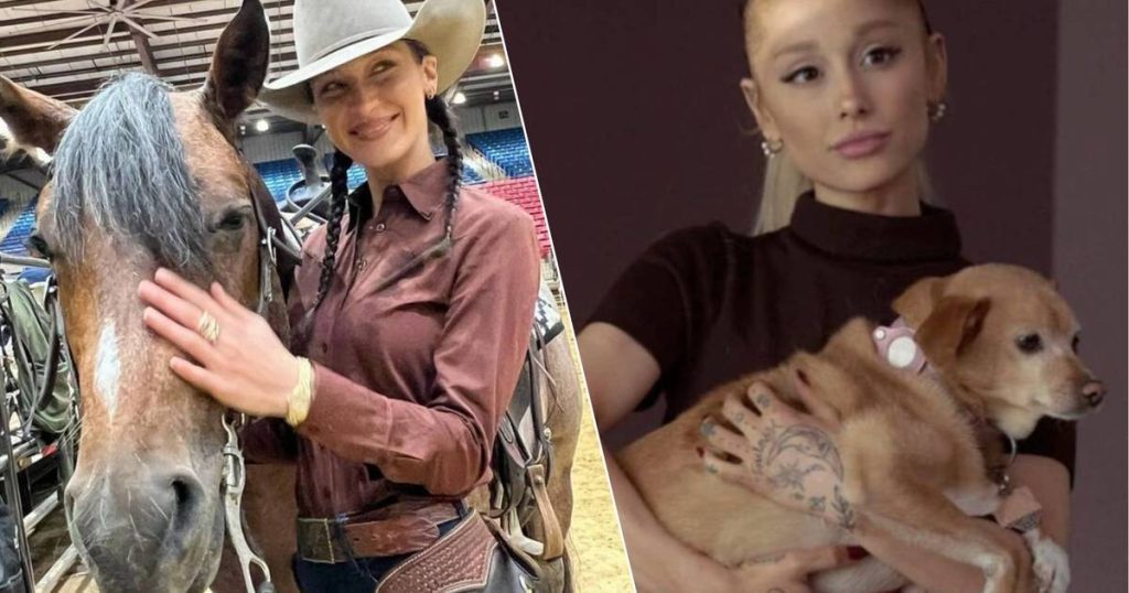 Celebrities 24/7.  Bella Hadid replaces the catwalk with a riding school and Ariana Grande has a beautiful ad |  celebrities