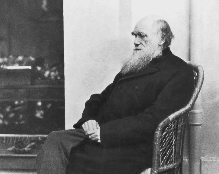 Charles Darwin's massive library was finally completed, much larger than expected