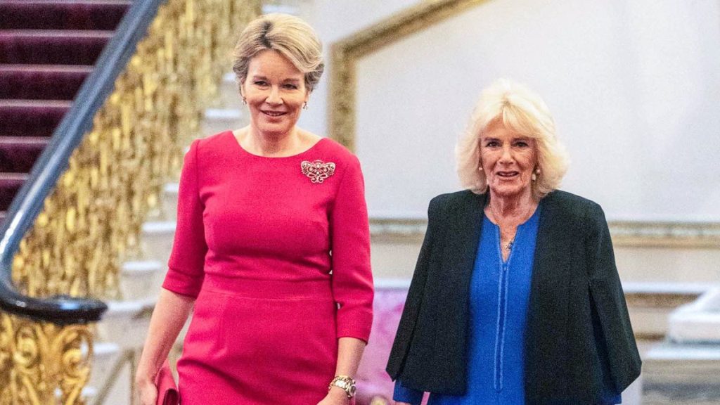 Queen Camilla invites Queen Mathilde to the palace