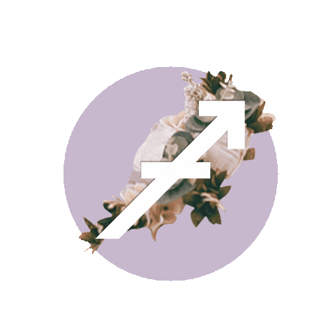 Sagittarius zodiac sign horoscope gif