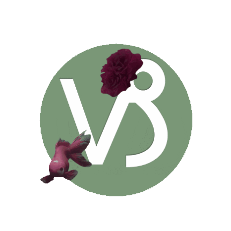 Capricorn Capricorn Zodiac Sign Horoscope GIF