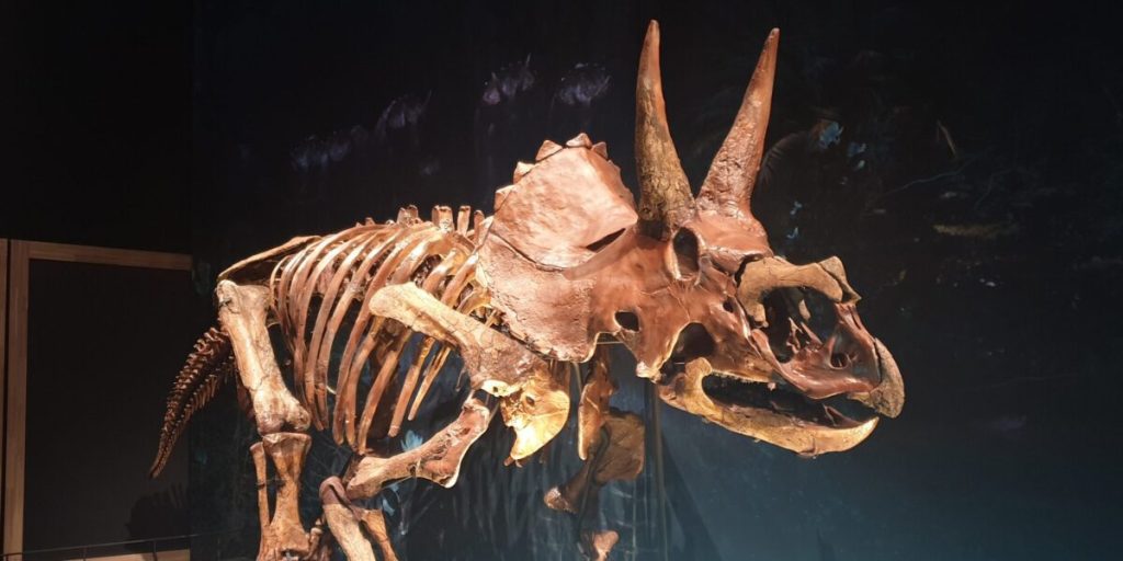 Jurassic Park got it right: Triceratops lived in groups