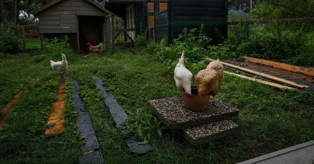 People give more viruses to animals than animals give to humans