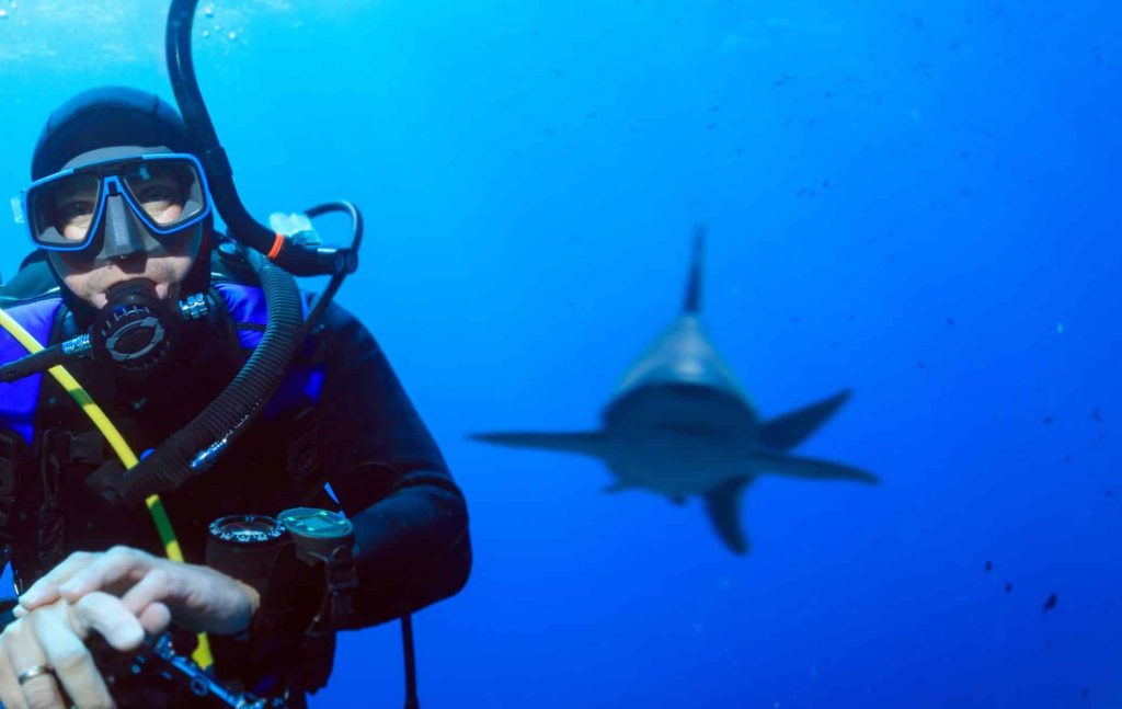 "Help a shark!"  Divers can signal for help on the mainland with a new electronic glove