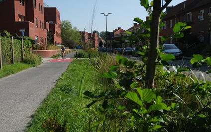 Steenakker was nominated for the Public Space Audience Award